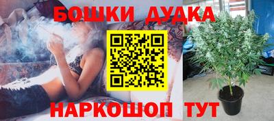 spice Пушкино