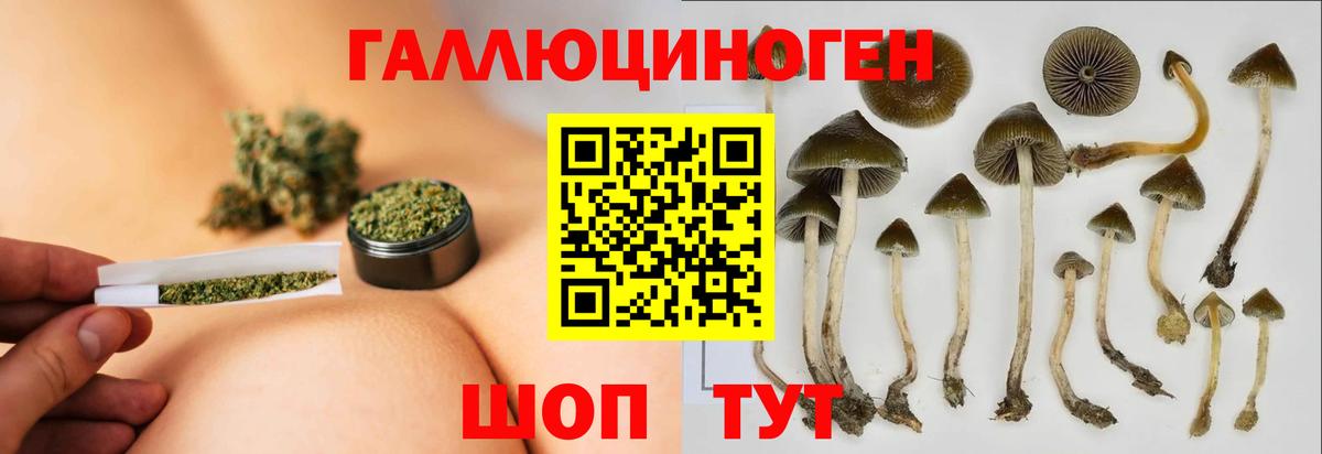 Сердобск  Псилоцибиновые грибы Cubensis  где продают   Вход с VPN 